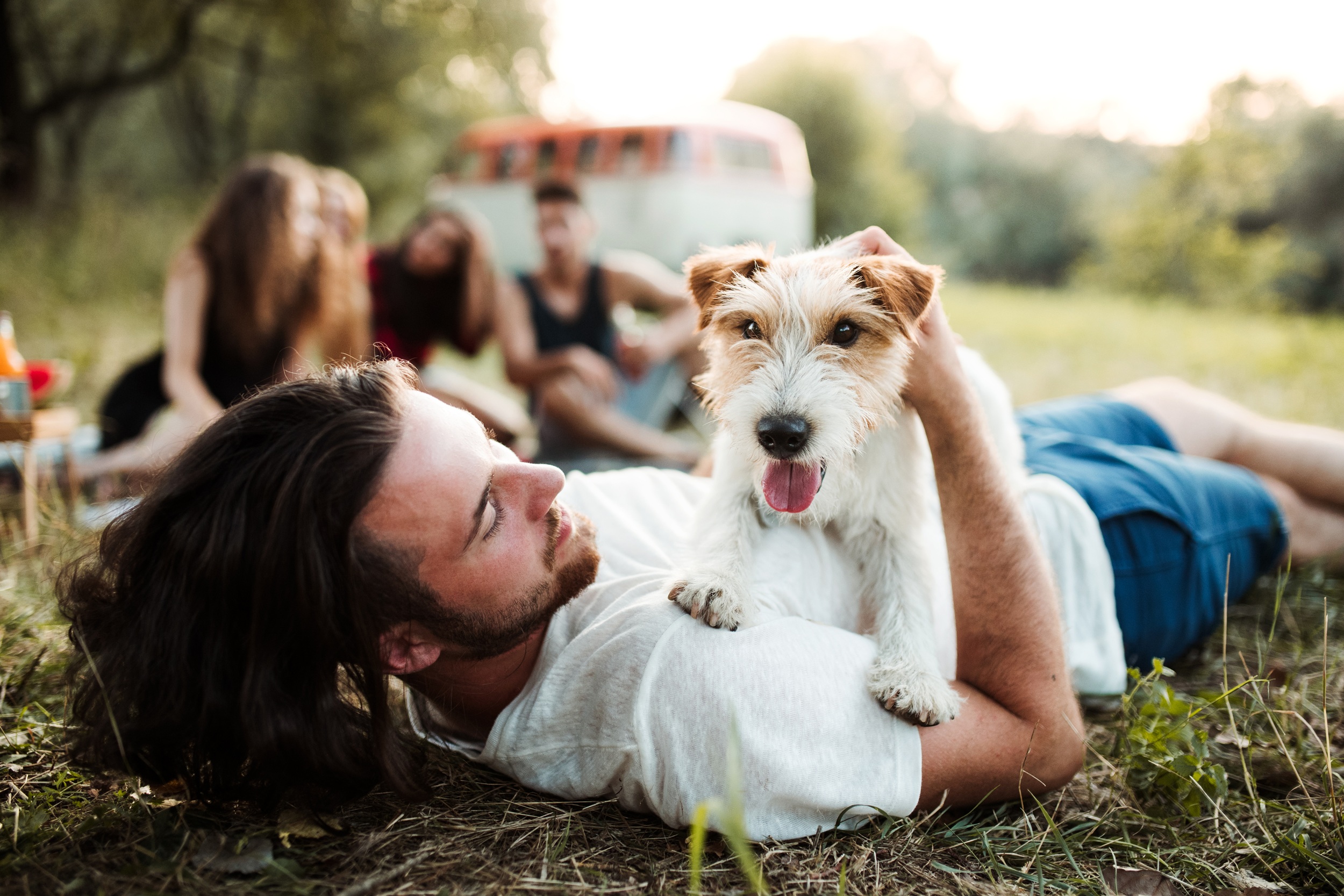 a group of young friends with a dog sitting on grass on a roadtrip through countryside.